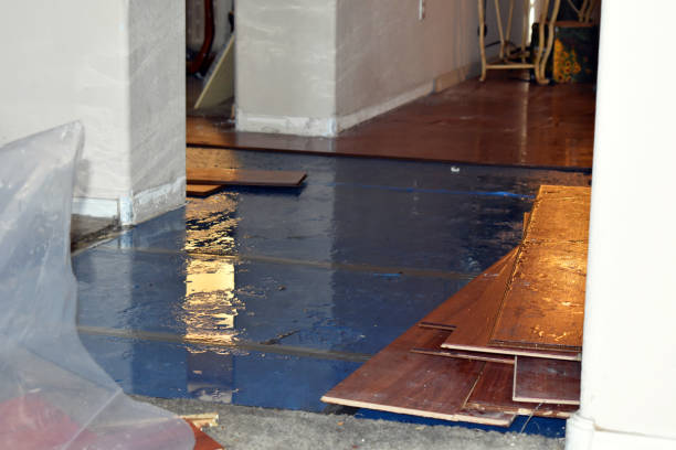 Professional Sewage Cleanup technician working in Hundred, WV
